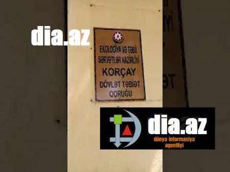 Korçay Qoruğunda RƏSMİ ÖZBAŞINALIQ Korçay Qoruğunda RƏSMİ ÖZBAŞINALIQ